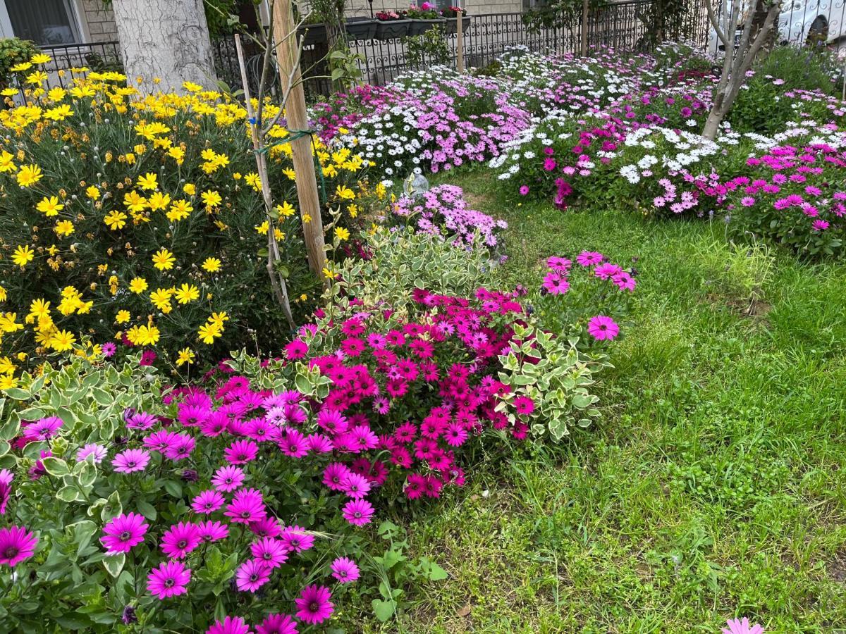 ספליט Apartments Ursic מראה חיצוני תמונה