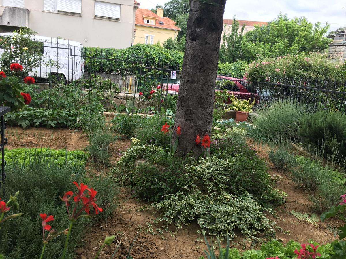 ספליט Apartments Ursic מראה חיצוני תמונה